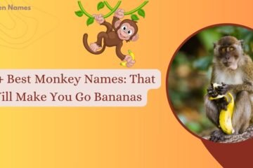 Monkey Names