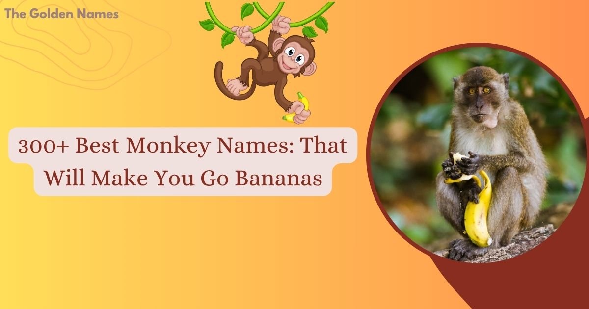 Monkey Names