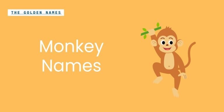 Monkey Names