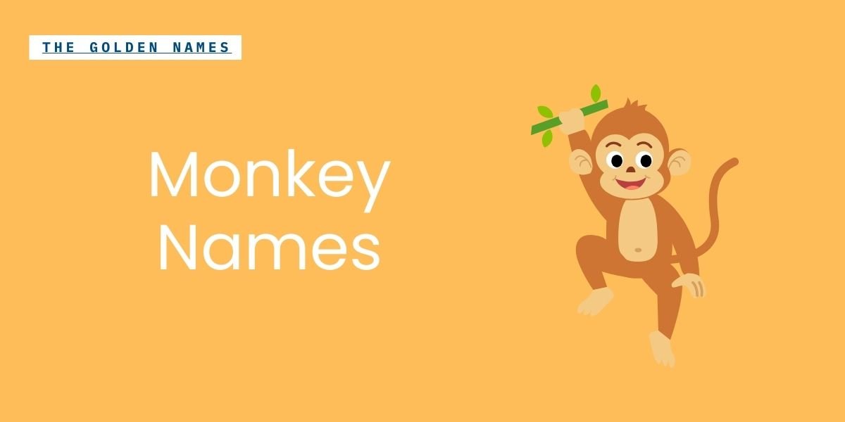 Monkey Names