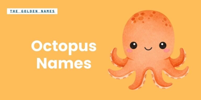 Octopus Names