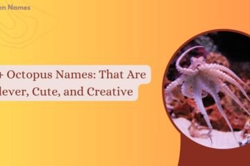 Octopus Names