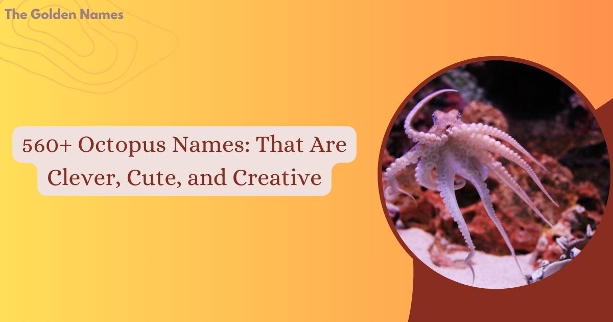 Octopus Names