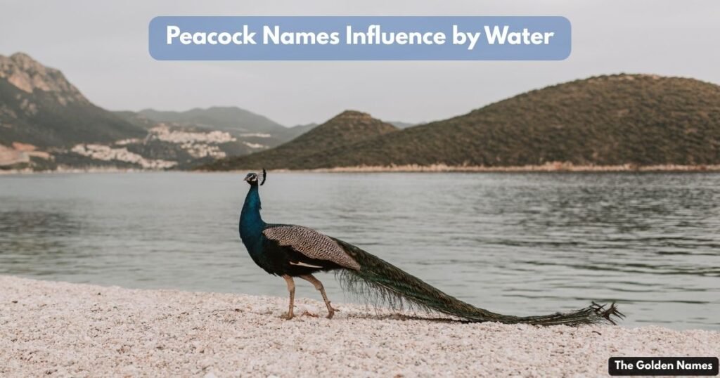 Peacock Names Influence by Water
