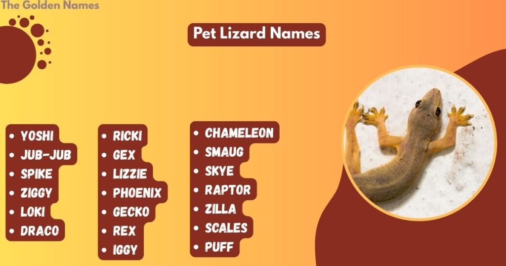 Pet Lizard Names