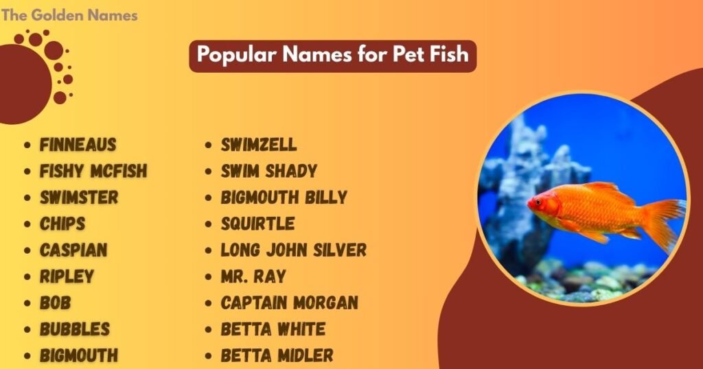 Popular Names for Pet Fish