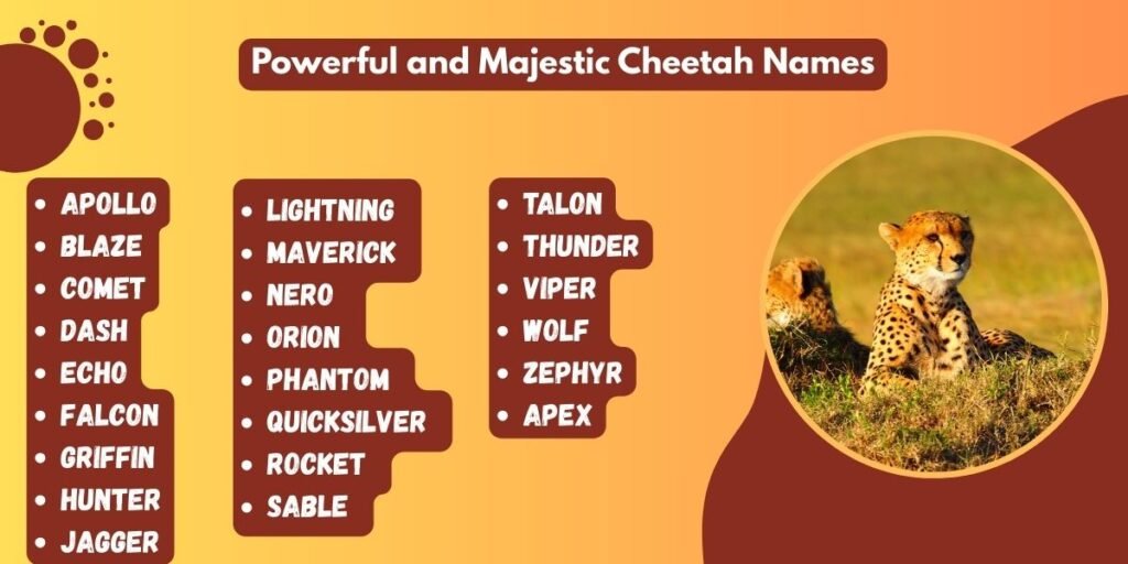Powerful and Majestic Cheetah Names