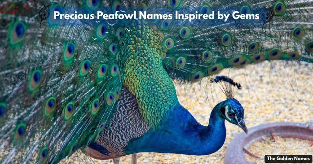 Precious Peafowl Names Inspired by Gems