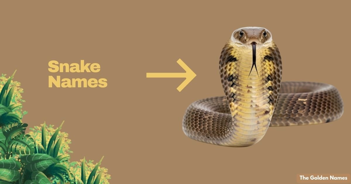 Snake Names