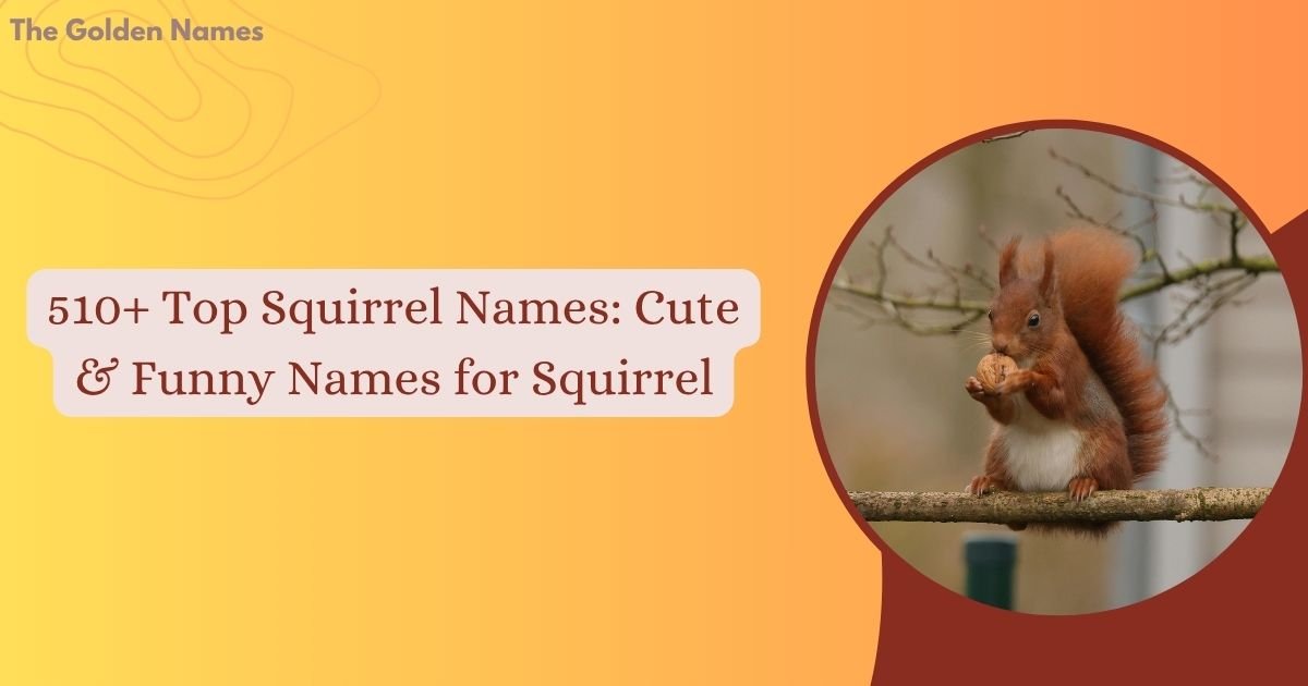 Squirrel Names