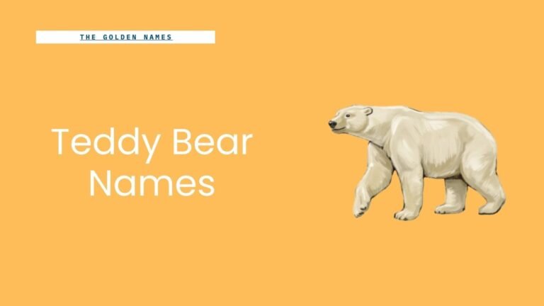 Teddy Bear Names