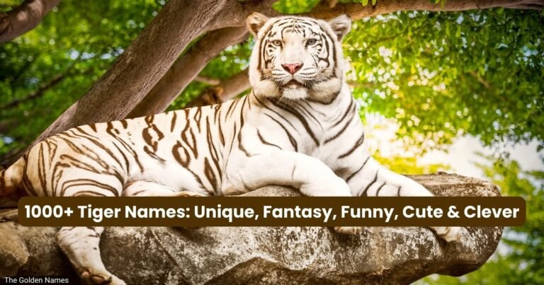 Tiger Names