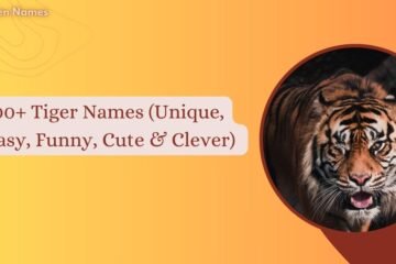 Tiger Names
