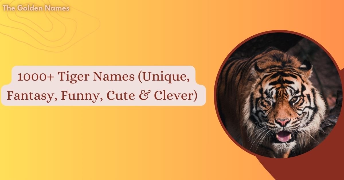 Tiger Names