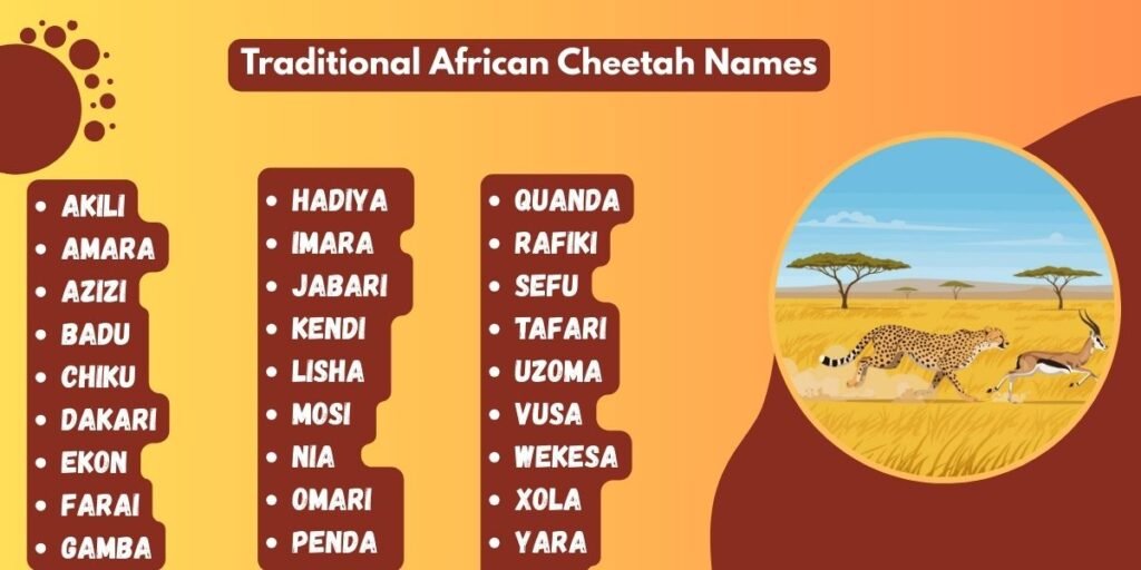 Traditional African Cheetah Names