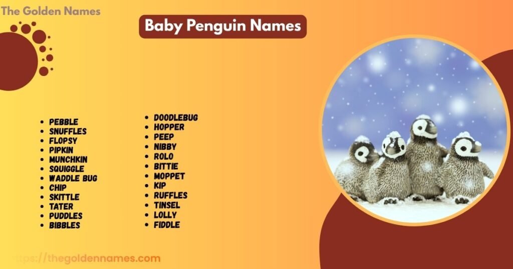 Baby Penguin Names