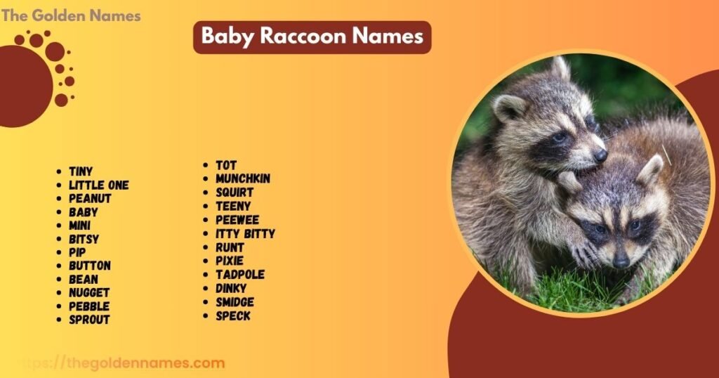 Baby Raccoon Names