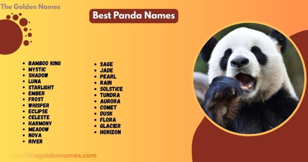 Best Panda Names