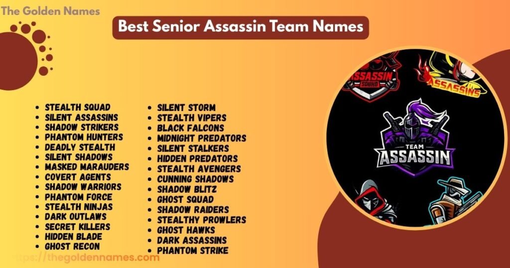 Best Senior Assassin Team Names