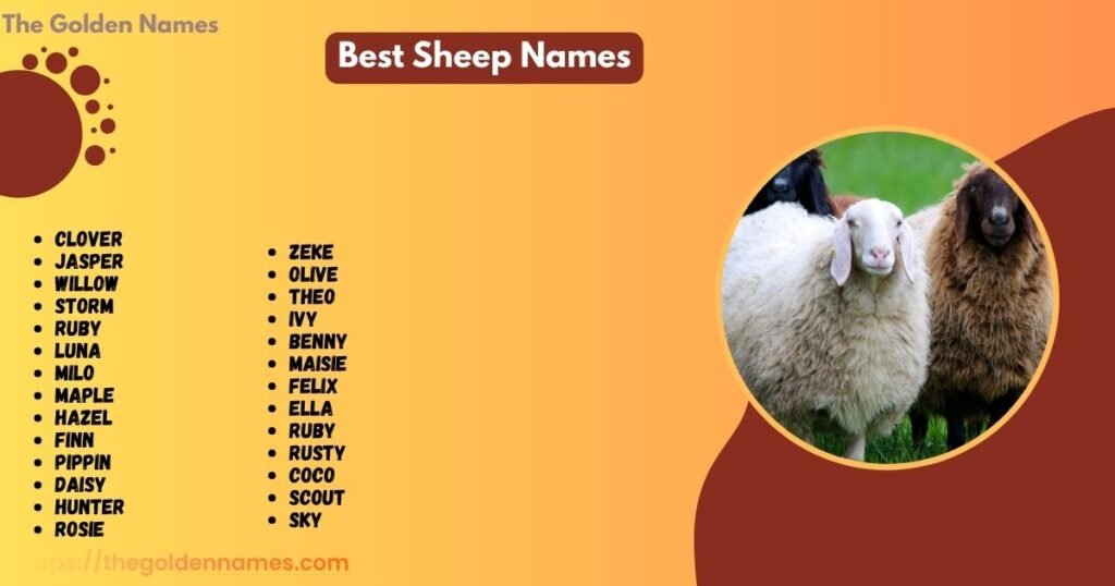 Best Sheep Names