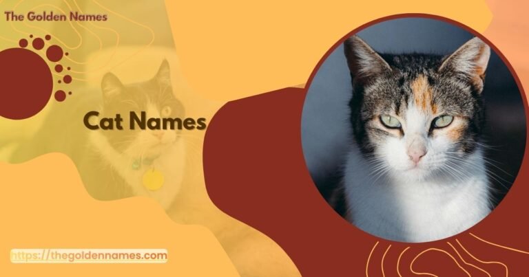 Cat Names