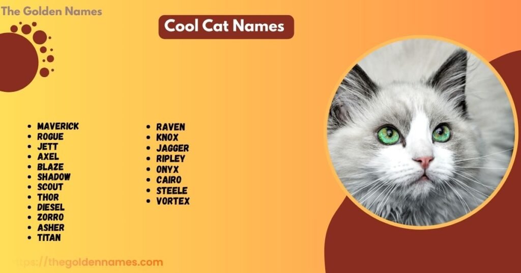 Cool Cat Names 