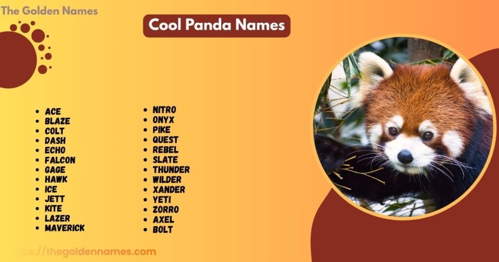 Cool Panda Names