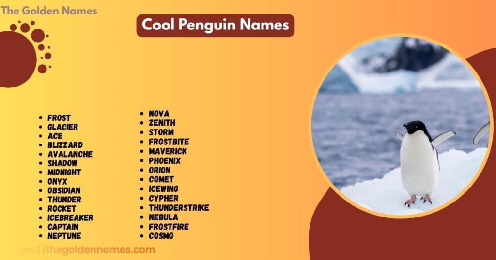 Cool Penguin Names