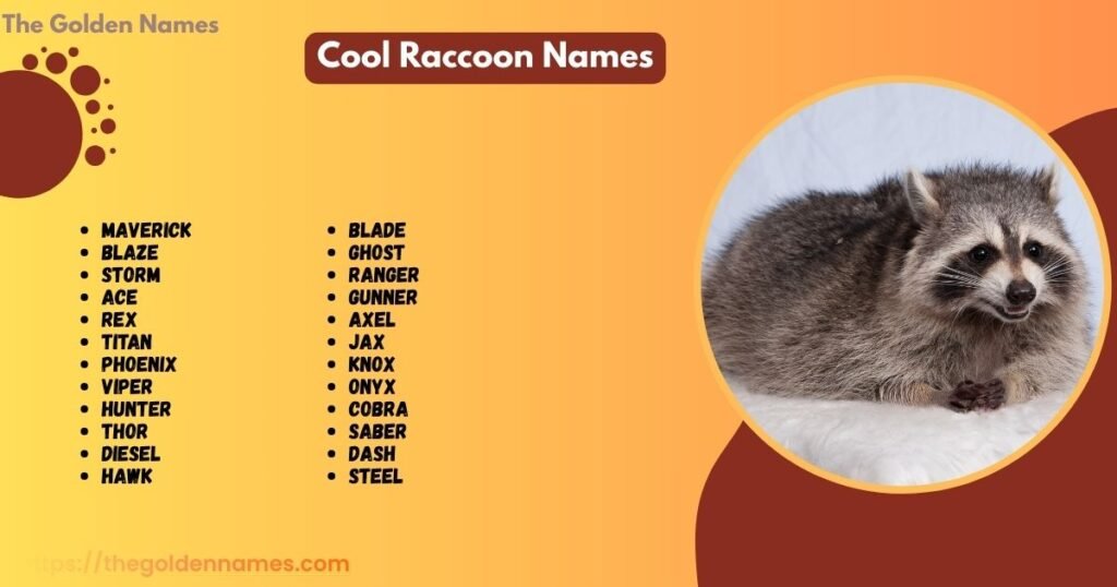 Cool Raccoon Names