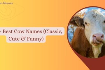 Cow Names