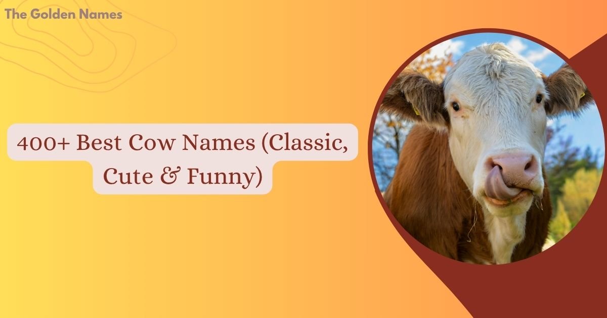 Cow Names