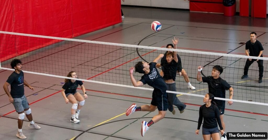 Creative Volleyball Team Names