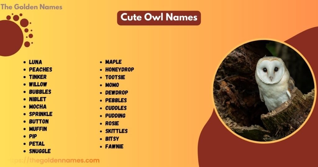 Cute Owl Names