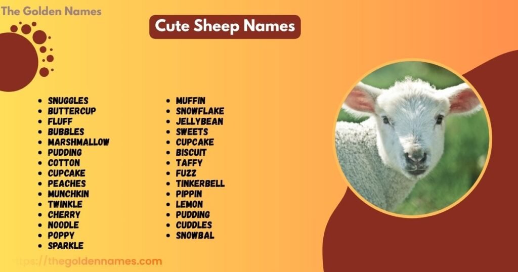 Cute Sheep Names