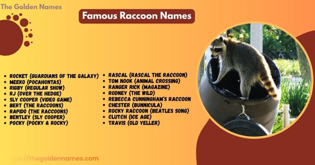 Famous Raccoon Names