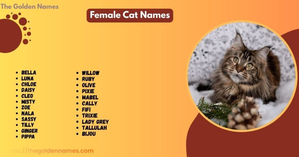 Female Cat Names