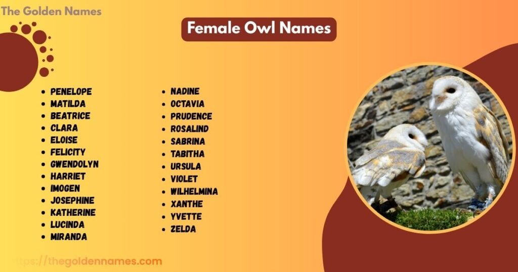Female Owl Names