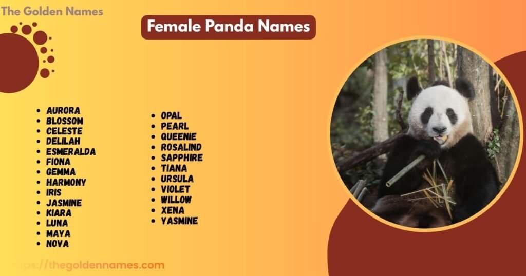 Female Panda Names
