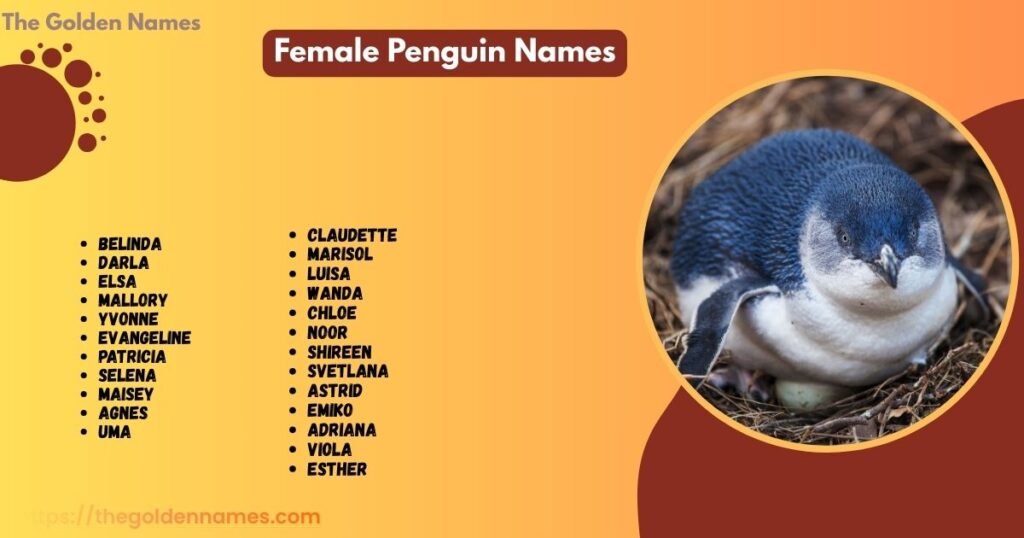 Female Penguin Names