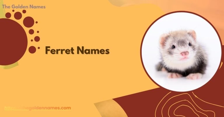 Ferret Names
