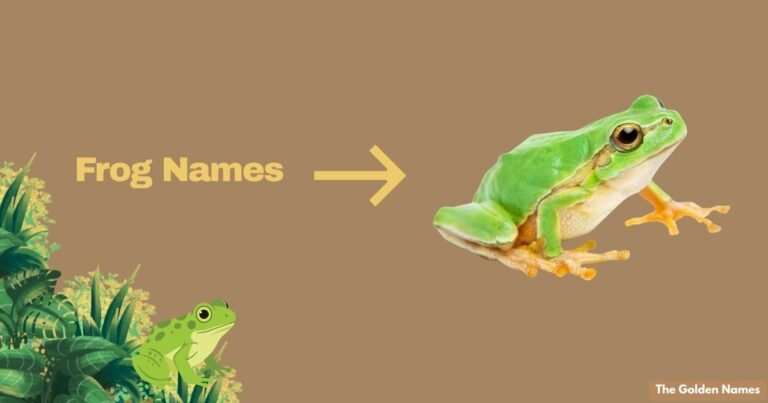 Frog Names