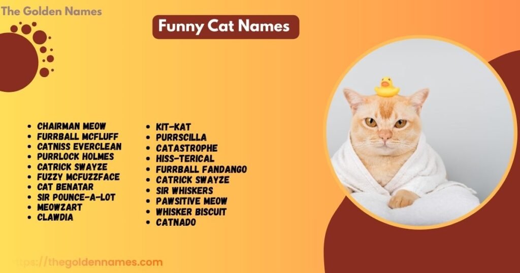 Funny Cat Names 