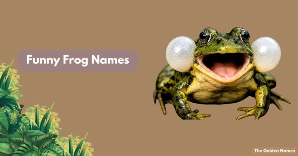 Funny Frog Names