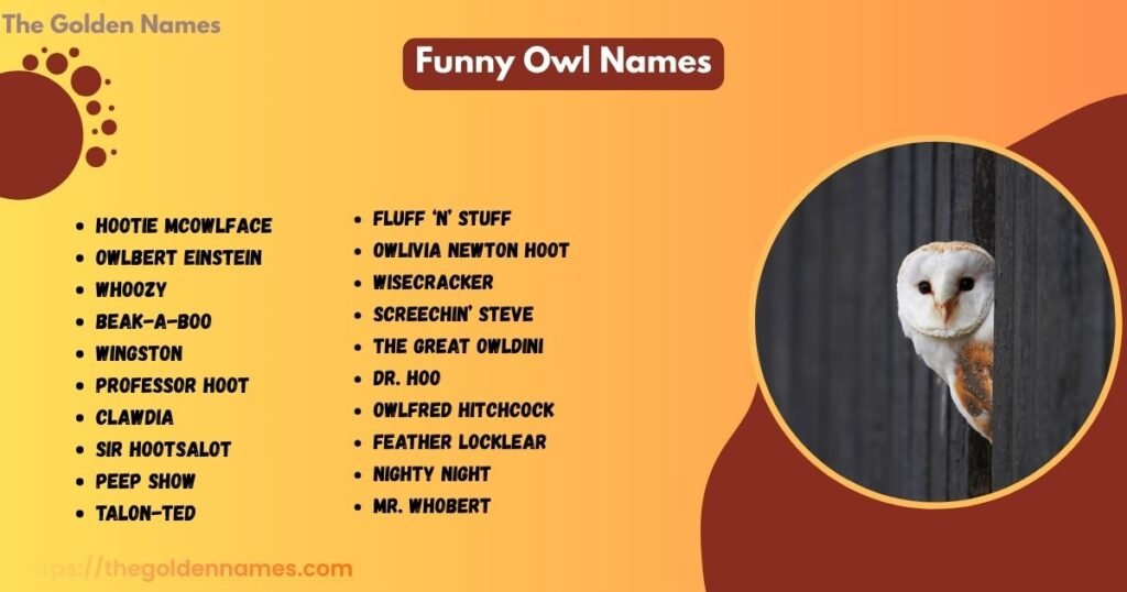 Funny Owl Names