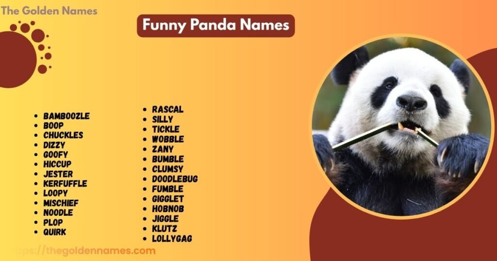 Funny Panda Names