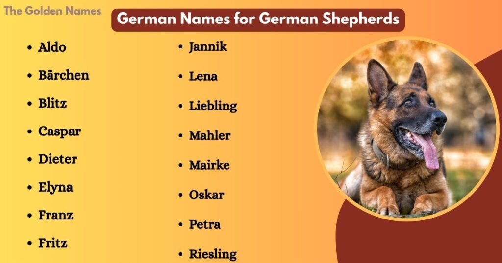 German Names for German Shepherds