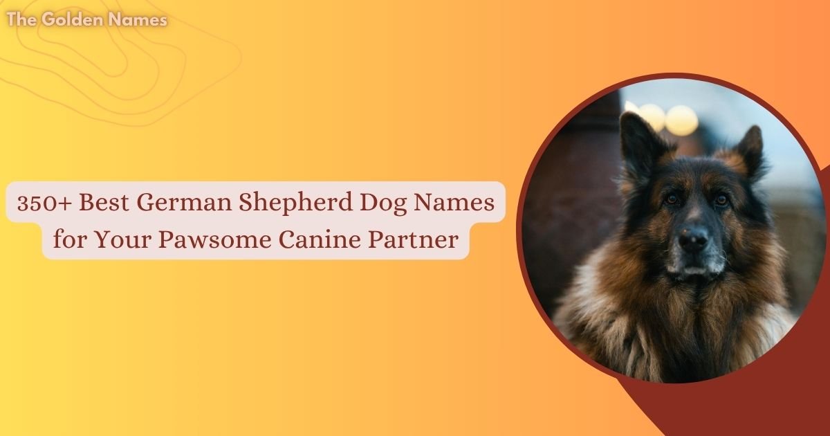 German Shepherd Dog Names