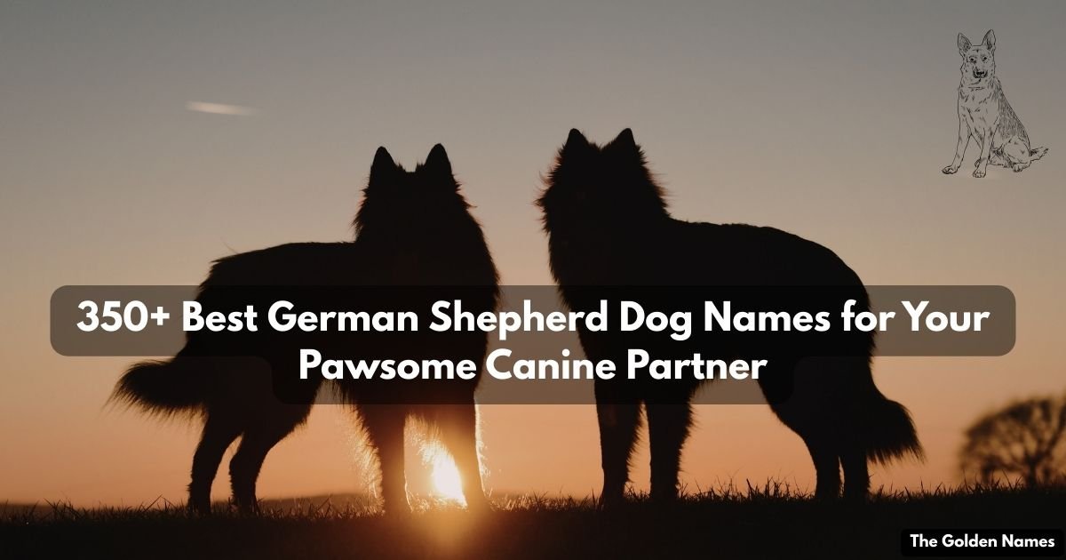 German Shepherd Dog Names