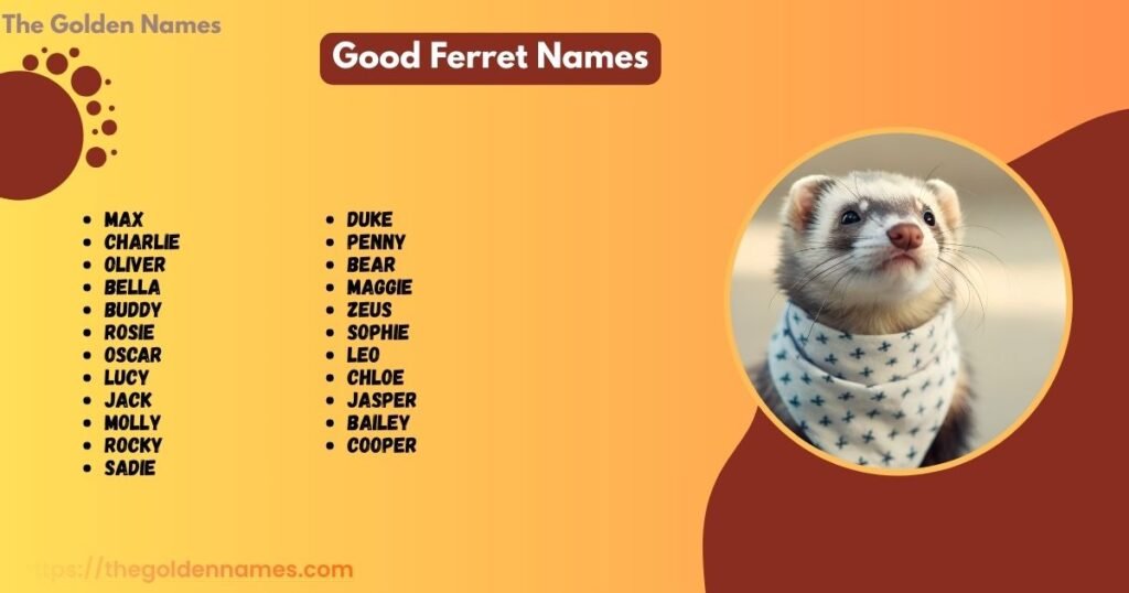 Good Ferret Names