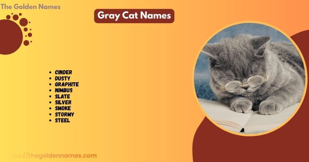 Gray Cat Names